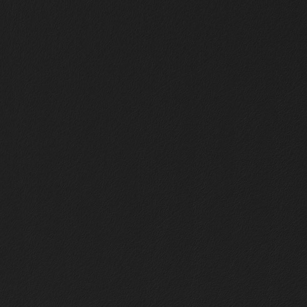 COLOR - 03 Black.jpg